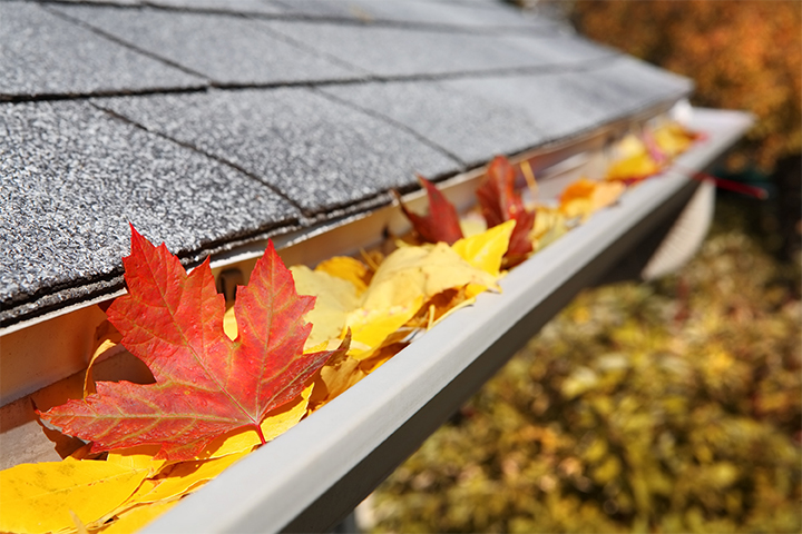 Leafs-Gutter